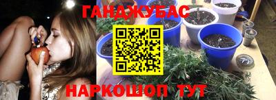 эйфоретик Краснодар