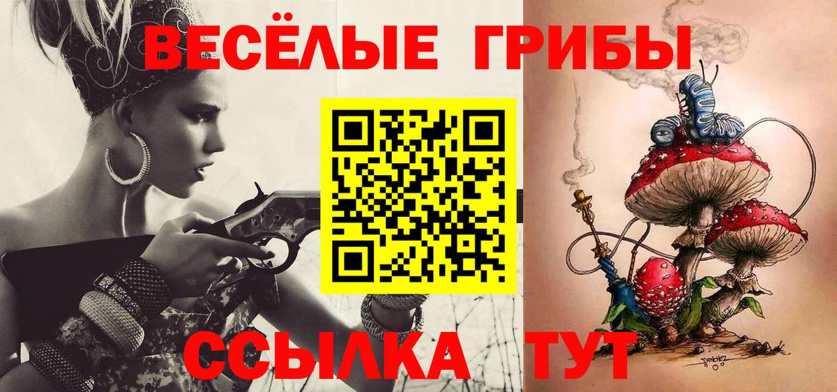 Галлюциногенные грибы прущие грибы  Вход с VPN  Нефтекумск 